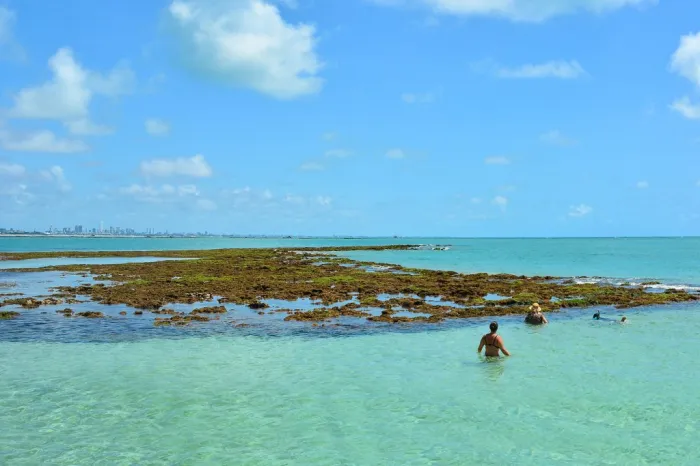 Foto: Reprodução/Prefeitura de João Pessoa - PB