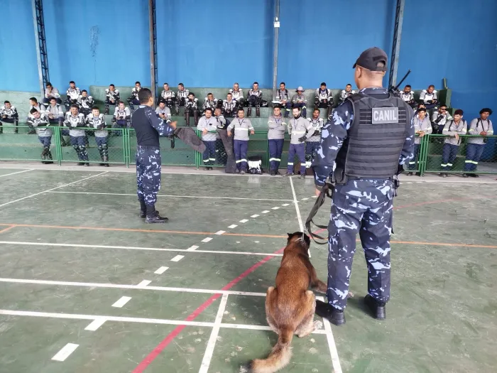 Segurança: Guarda Municipal de Marabá capacita leituristas de energia para prevenir ataques de cães