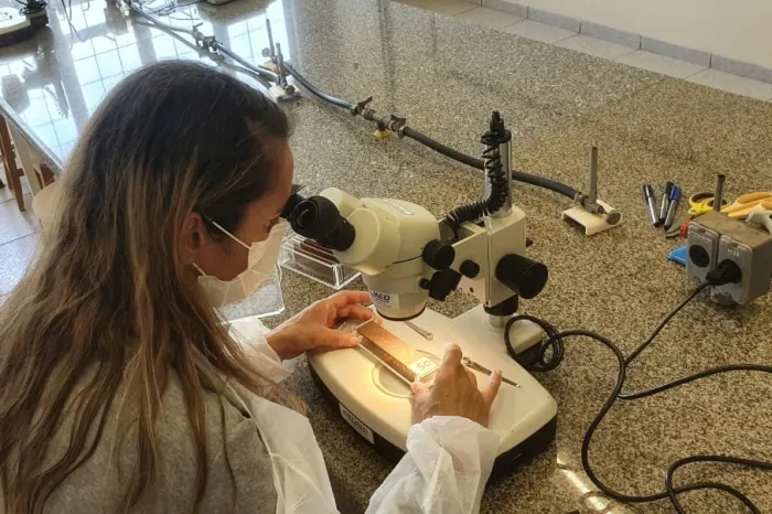 Foto: Reprodução/Secom Paraná