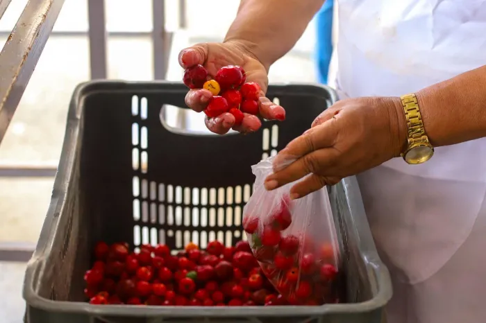 Decreto foi publicado no Diário Oficial do Estado (DOE) desta quinta-feira - Beatriz Gonçalves / Ascom Seagri