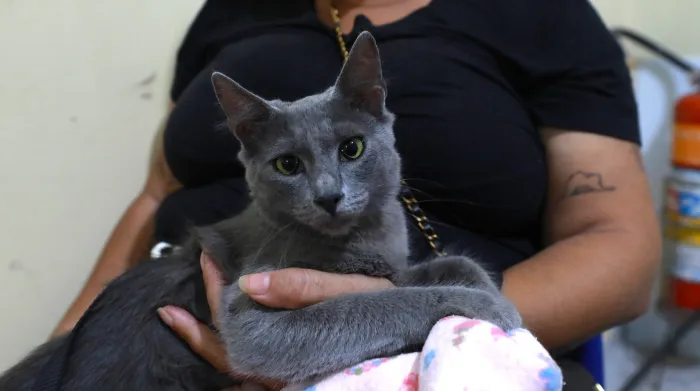 Crédito: Paula Lourinho