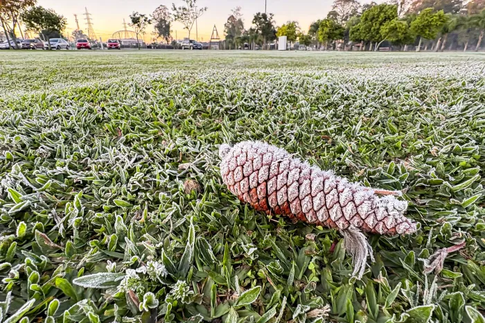 Foto: Roberto Dziura Jr/AEN