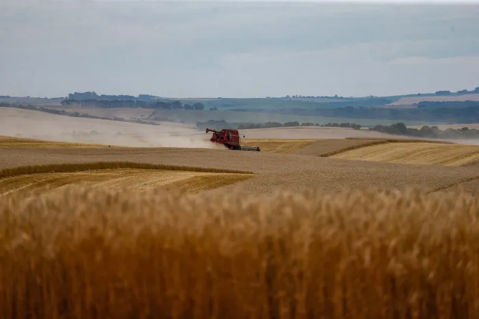 Soja e milho impulsionam produção paranaense com estimativa de 39,1 milhões de toneladas