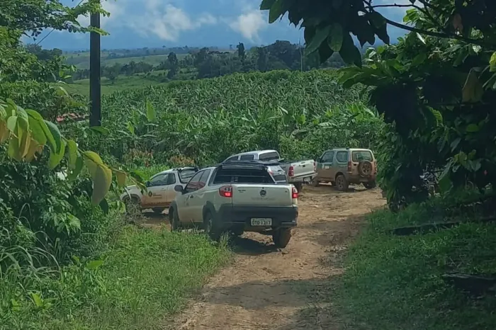 Foto: Divulgação