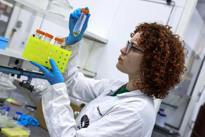 Unicamp desenvolve novo tratamento contra câncer de pele
