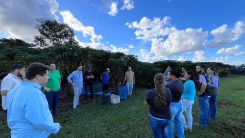 Parceria fortalece qualidade do café em Porto Velho