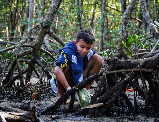 Prefeitura de São Sebastião prepara programação especial para Semana do Meio Ambiente em junho