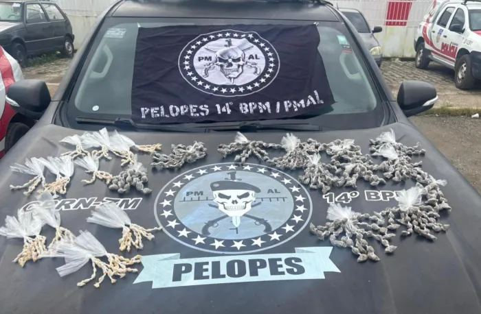 Ação do 14º BPM finalizou com 959 porções de entorpecentes retiradas de circulação em Colônia Leopoldina - Ascom PMAL