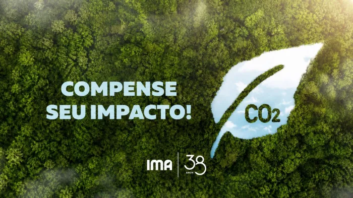 Iniciativa busca estimular a responsabilidade socioambiental e ampliar ações de descarbonização no estado - Divulgação