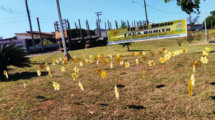 Rede de proteção de Brasilândia se mobiliza para campanha Maio Laranja com ações em escolas