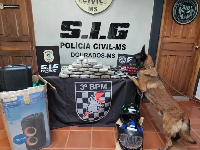 Polícia Civil cumpre mandados em investigação que apura esquema de tráfico interestadual de drogas a partir de Dourados