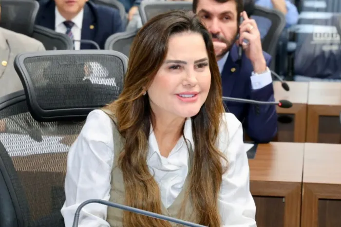 Mara Caseiro cobra informações sobre obras da MS-290 entre Naviraí e Iguatemi