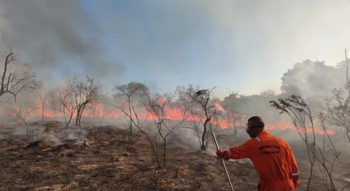 Defesa Civil alerta para aumento do risco de incêndios em SP e monitora possível influência do El Niño