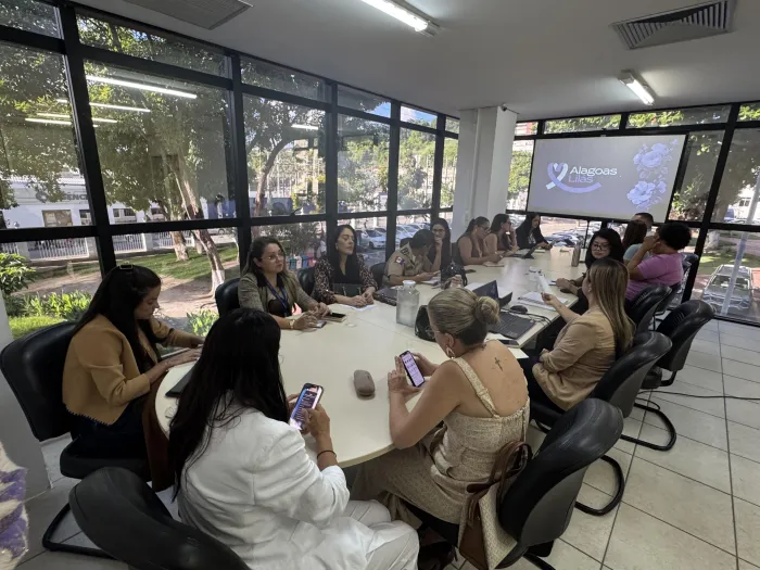 Comitê Gestor do Alagoas Lilás definiu os próximos passos do programa - Ascom Semu