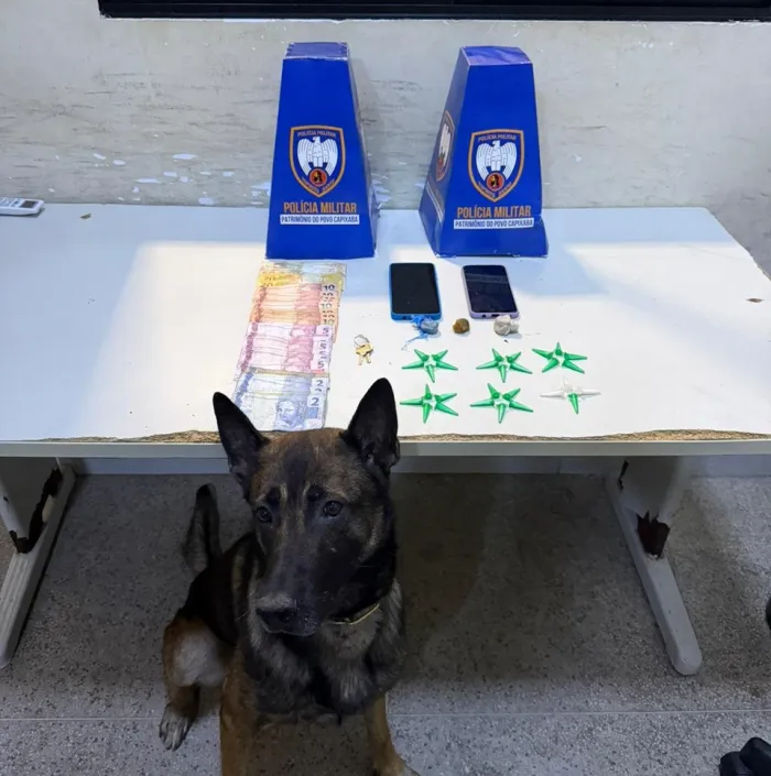 Foto: Reprodução/Polícia Militar - ES
