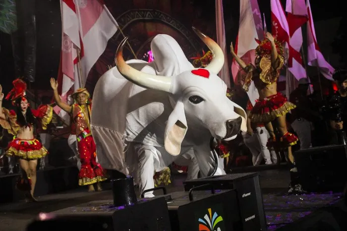 Foto: Reprodução/Agência Amazonas