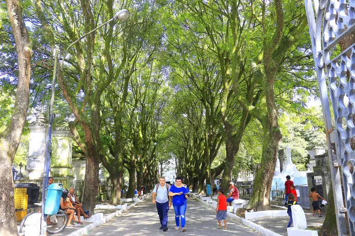 Prefeitura de João Pessoa finaliza preparação dos cemitérios públicos e divulga programação religiosa