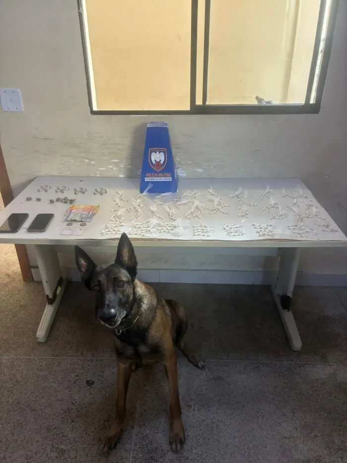 Polícia Militar apreende grande quantidade de drogas, recupera motocicleta e cumpre mandado de prisão em Guarapari