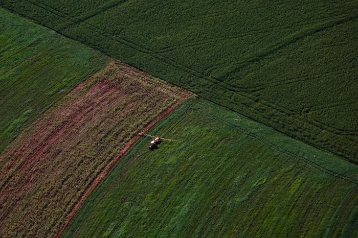 Webinar orienta empresas sobre como participar do programa Nexus de inovação no agro