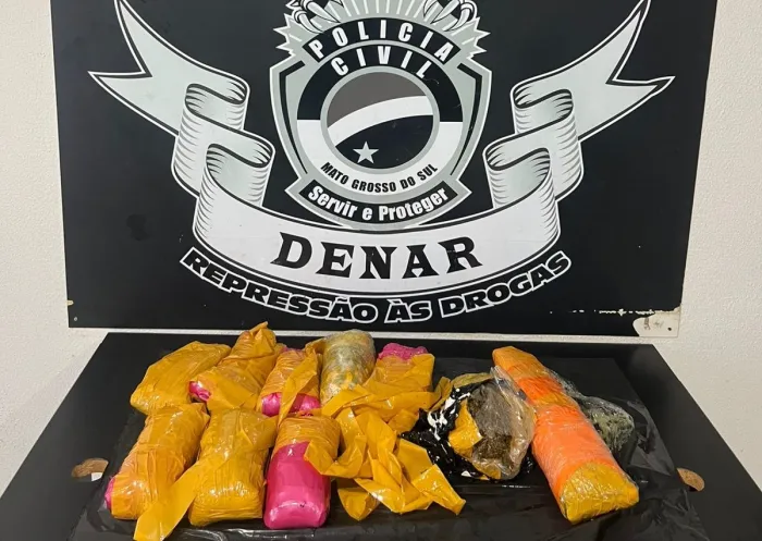 Investigação da Polícia Civil leva à apreensão de drogas enviada por transportadora em Campo Grande