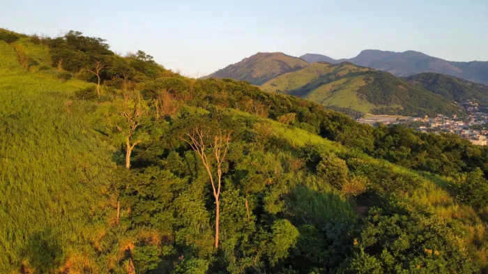 Foto: Divulgação/Secretaria de Meio Ambiente e Clima