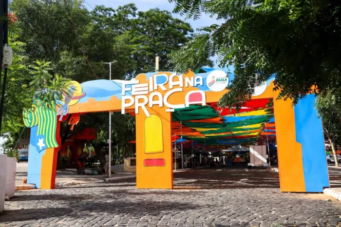 Foto: Reprodução/Secom Piauí