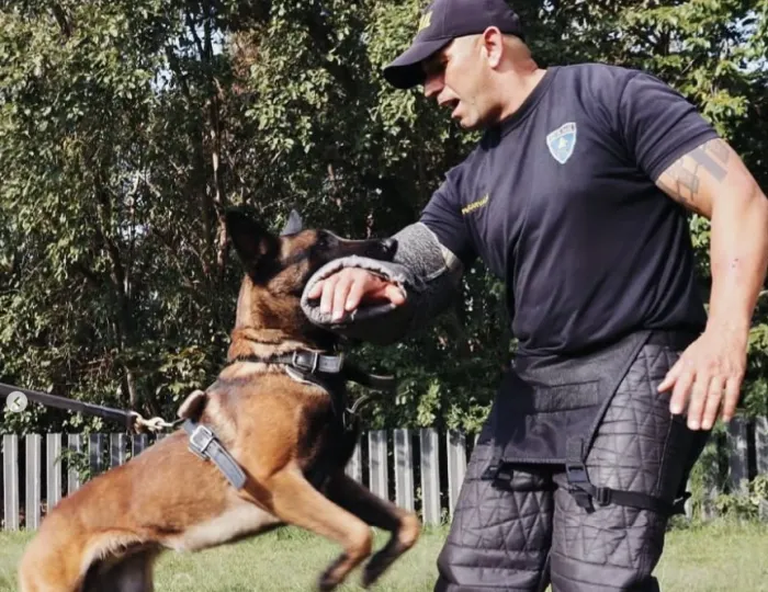 Cão farejador apoia apreensão de drogas em Cubatão