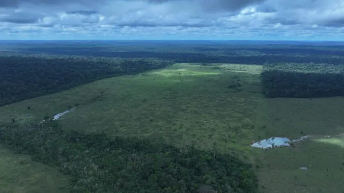 Foto: Reprodução/Agência Amazonas