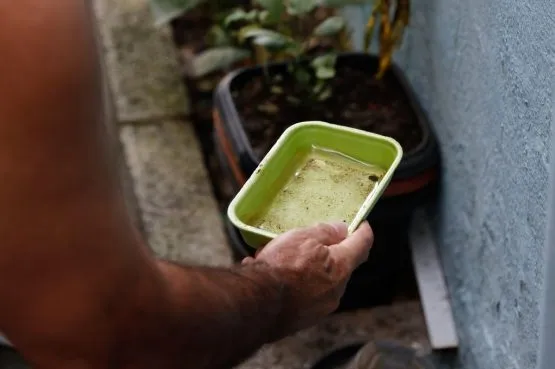 Bahia registra queda de 41% nos casos de dengue em 2026