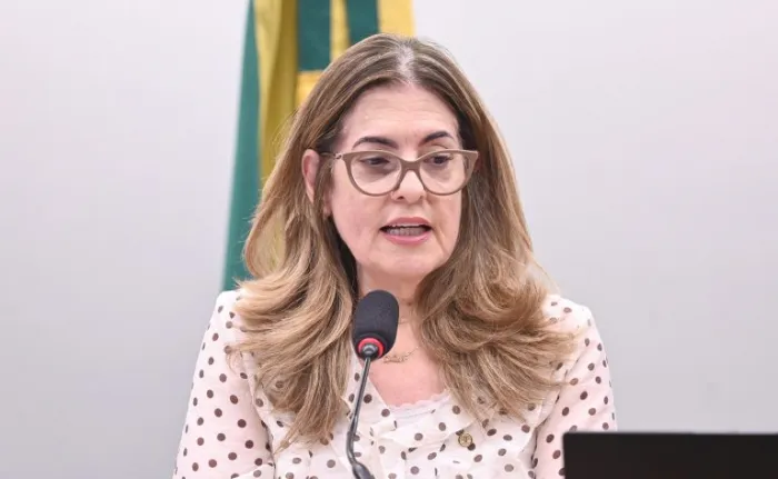 Zeca Ribeiro / Câmara dos Deputados
