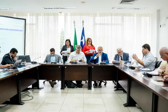 CCJ dá parecer favorável a PL que reconhece importância dos cidadãos que colaboram com processo eleitoral