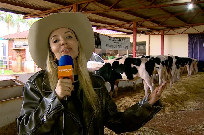 Foto: TV Paraná Turismo