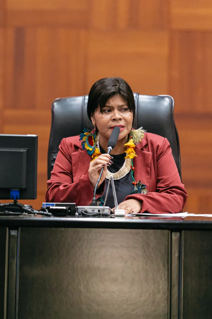 Foto: Hideraldo Costa/ALMT