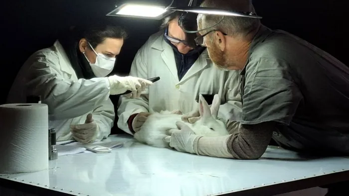 Equipe do Departamento de Vigilância e Defesa Sanitária Animal trabalha na admissão dos Pequenos Animais na feira -Foto: Fernando Dias/Ascom Seapi