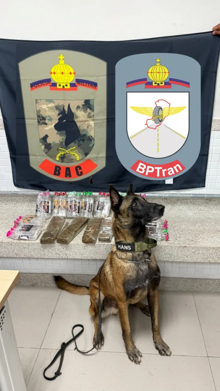 PMES apreende drogas e lança-perfume com auxílio de cão farejador durante operação em Vitória