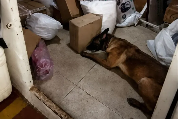 Foto: Divulgação