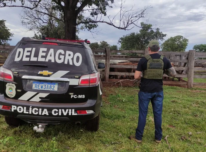 Operação Protetor: Polícia Civil recupera 67 cabeças de gado furtadas e prende dois receptadores em flagrante
