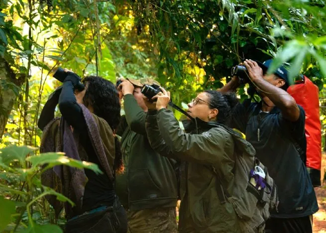 São Sebastião fortalece turismo de observação de aves com ação formativa para monitores ambientais