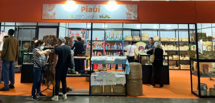 Foto: Reprodução/Secom Piauí