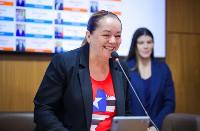 Rosana da Saúde propõe que Prefeitura monitore e informe efetivação de leis municipais