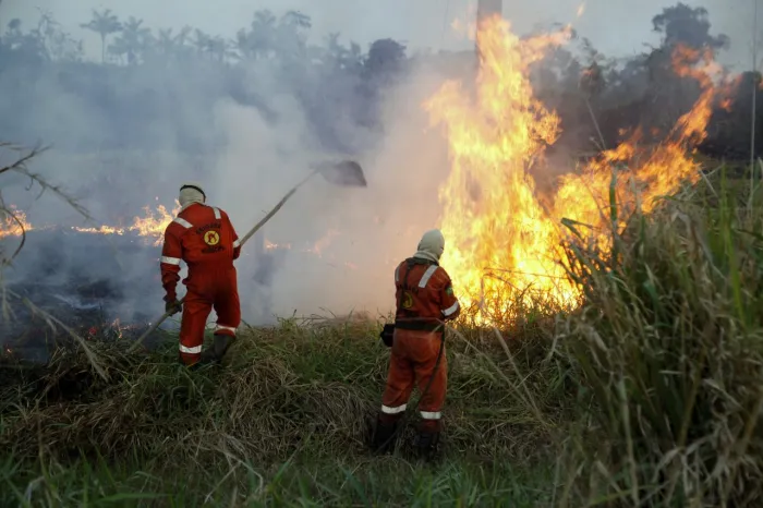  De acordo com o projeto, os recursos serão destinados ao enfrentamento das queimadas e incêndios florestais (Foto: Frank Néry)