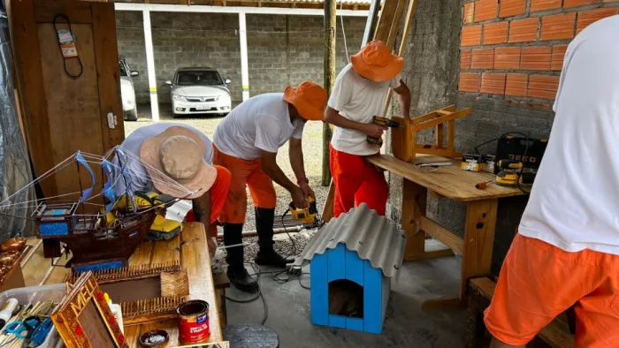 Iniciativa contempla doação de casinhas para ONGs voltadas ao resgate animal -Foto: Divulgação Polícia Penal