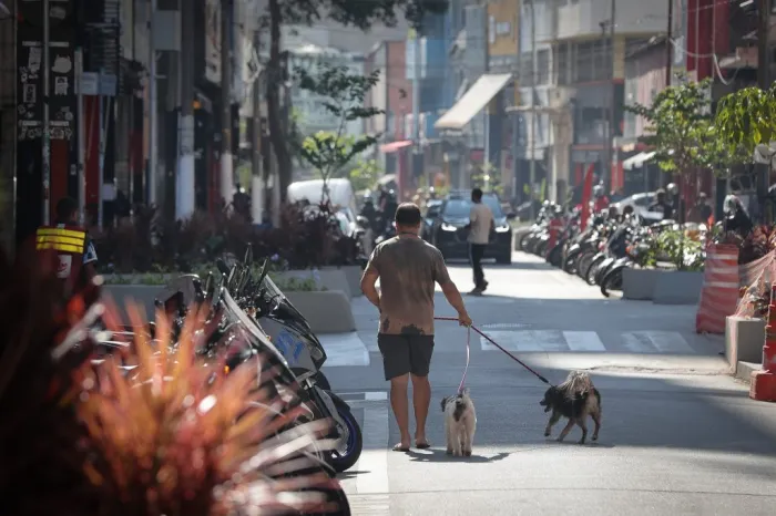 Na antiga área do fluxo, os roubos e furtos caíram 32% no primeiro trimestre deste ano na comparação com o mesmo período de 2022, quando ainda existia a Cracolândia Foto: Divulgação/Governo de SP