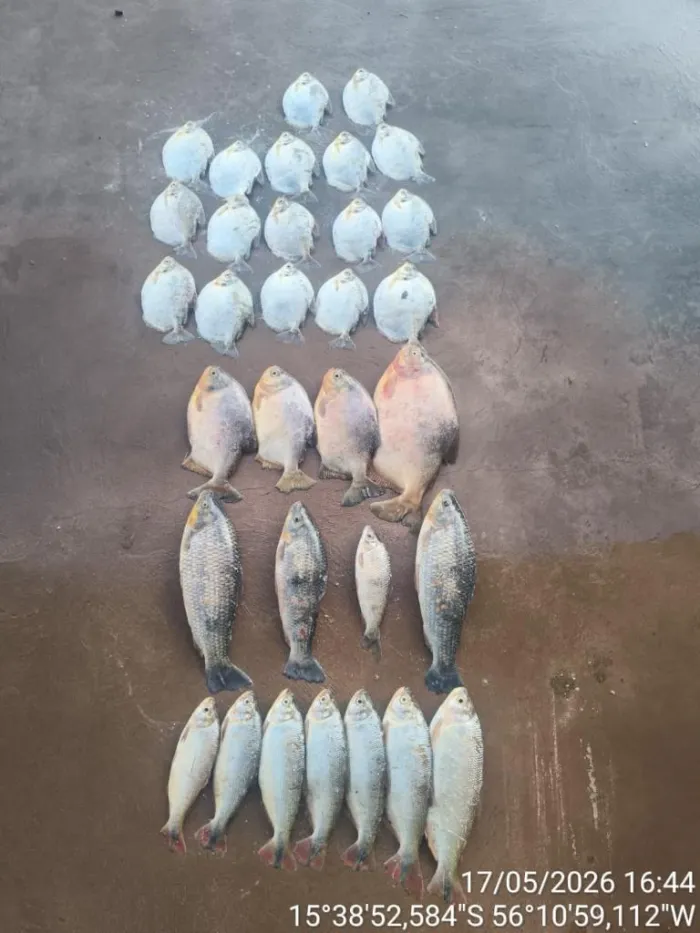 Batalhão Ambiental da PM prende homem com 13 quilos de pescado ilegal