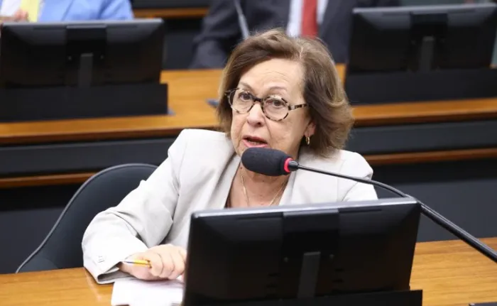 Vinicius Loures / Câmara dos Deputados