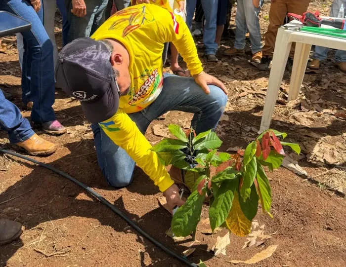 Foto: Divulgação
