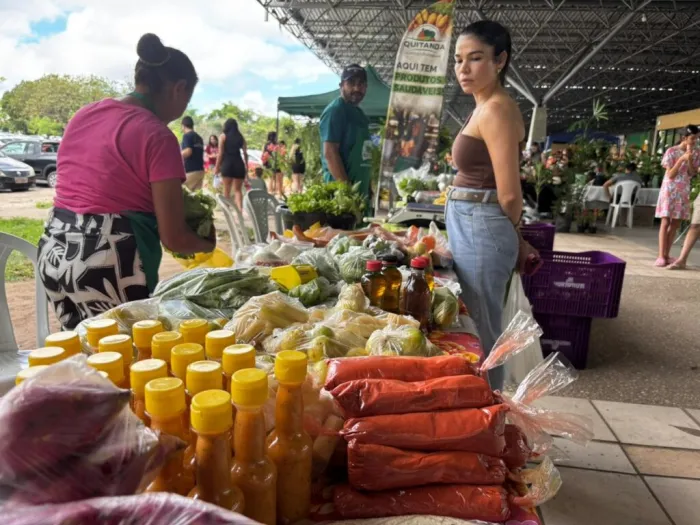 Foto: Reprodução/Secom Piauí