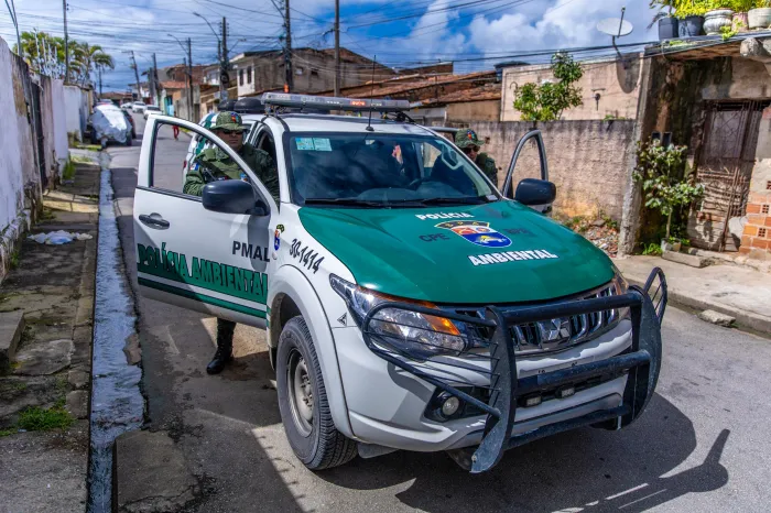 PM resgata animais em áreas urbanas e orienta população
