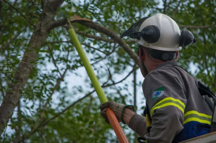 Em Primeiro de Maio, Copel organiza poda de 1,7 mil árvores para prevenir desligamentos