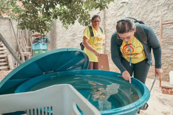 Resultado do 3º LIRAa aponta Petrolina com baixo risco para o Aedes aegypti